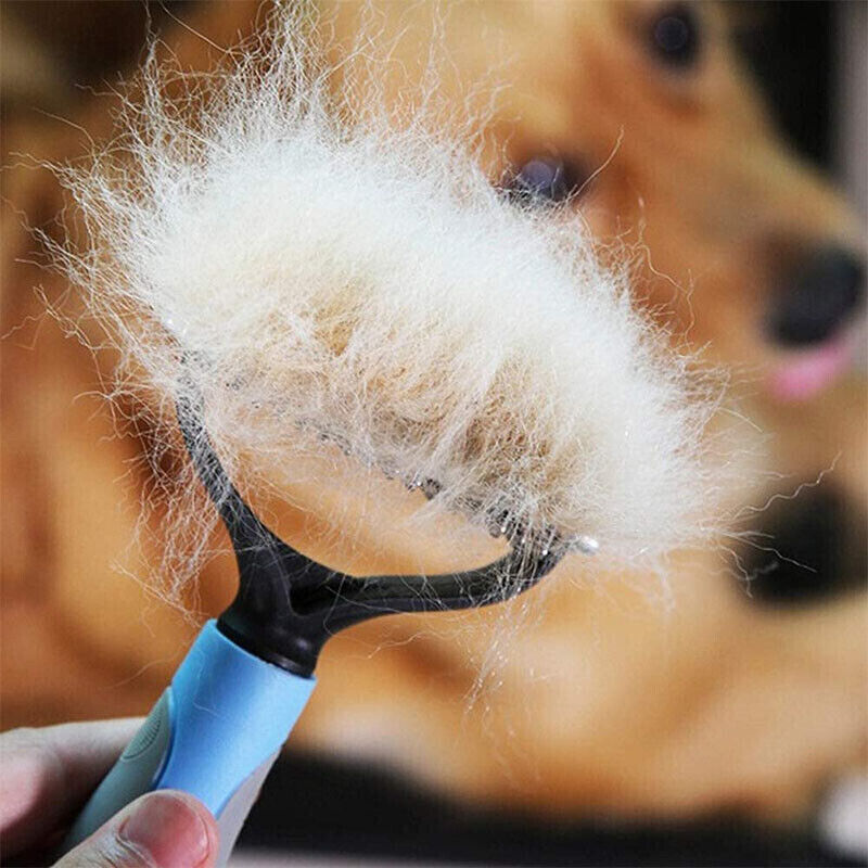 Loose undercoat gathered on the teeth of the rake after grooming.