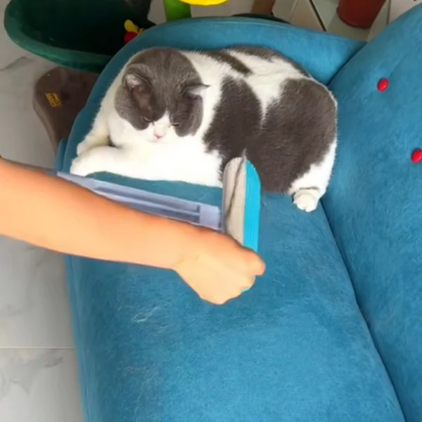 The brush being used on a blue sofa beside a resting cat.